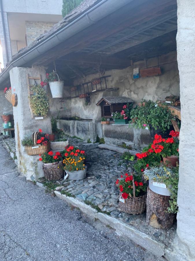 Casa Iolanda Lägenhet Bognanco Exteriör bild
